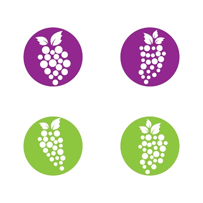 Grape vector icon illustration design