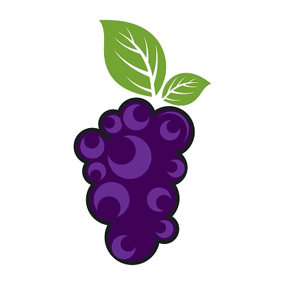 Grape vector