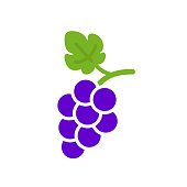 Grapevine with leaf. Wine logo. Fruit pictogram. Vector illustration isolated.