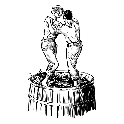 Grapes pressing by barefoot farm boys. black and white sketch