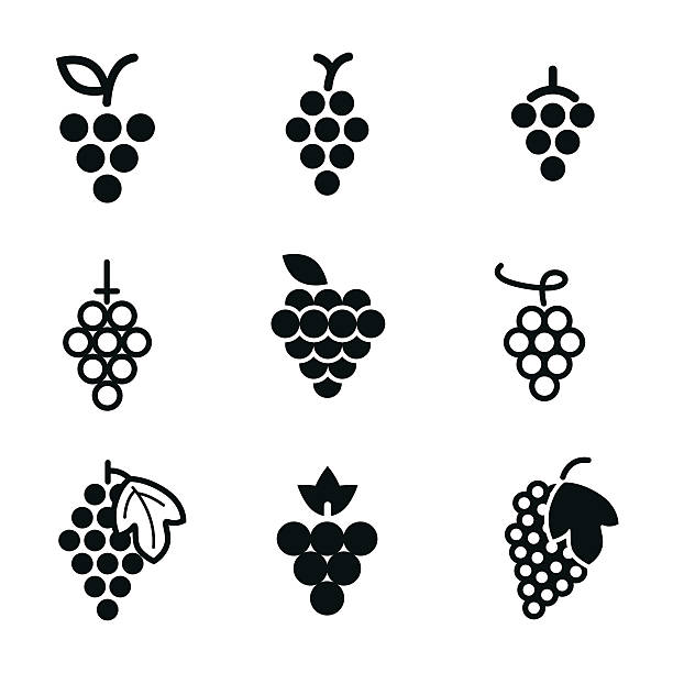 ilustrações de stock, clip art, desenhos animados e ícones de grapes vector icons. - uvas