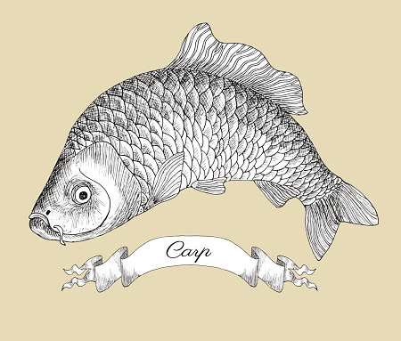 Graphic drawing of carp and vignette
