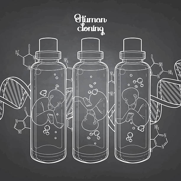 grafika płodu w szklanej butelce - baby formula stock illustrations