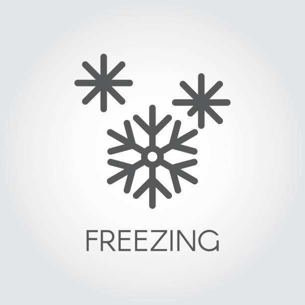 stockillustraties, clipart, cartoons en iconen met grafische pictogram voor snowflake. lijn symbool van bevroren voedselproduct. vectorillustratie - bevroren voedsel