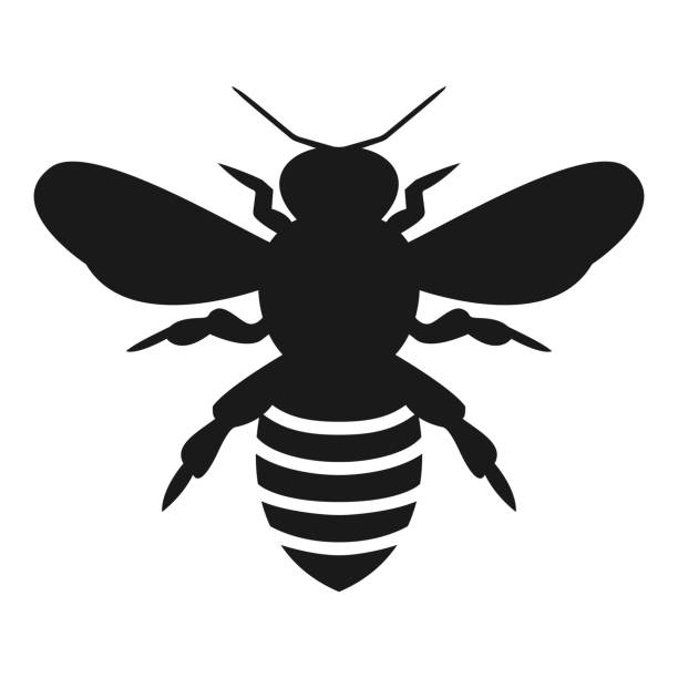 stockillustraties, clipart, cartoons en iconen met grafische illustratie van silhouet honey bee. geïsoleerd op achtergrond vector - wespen
