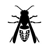 Graphic illustration of silhouette honey bee. Isolated on background vector