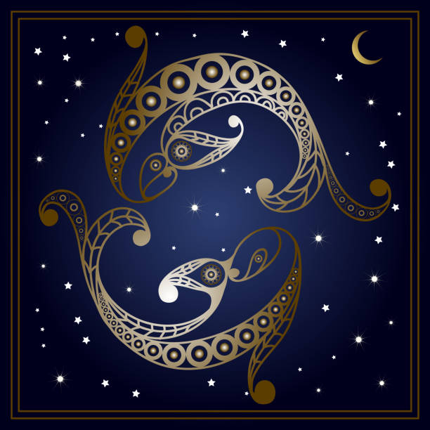 Graphic illustration with zodiac sign 12 Decorative zodiac sign Pisces. Horoscope and astrology (astronomy)-symbol. Vector illustration. pisces stock illustrations