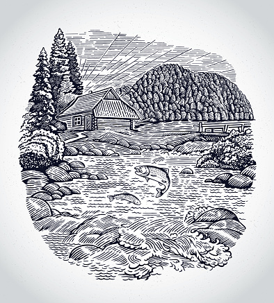 Graphical landscape with the river and fish in it.