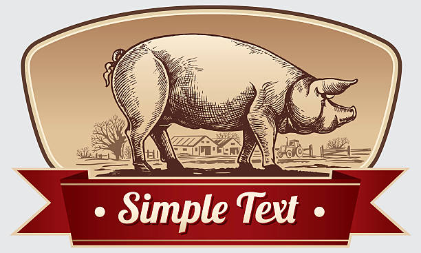 Graphical pig in landscape. Graphic illustration of pig in a frame with ribbon pig borders stock illustrations