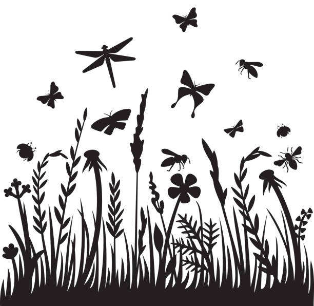 Grass and insects Grass silhouette and flying insects (dragonfly, bee, butterfly, ladybug). Flowers and plants vector illustration bee silhouettes stock illustrations