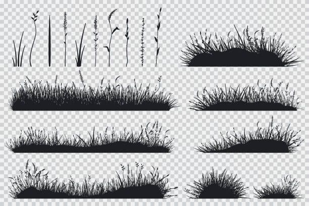 meadow free brushes 19 free downloads