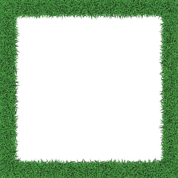 Grass border Square grass border  with copy-space  on white background, vector illustration. grass borders stock illustrations