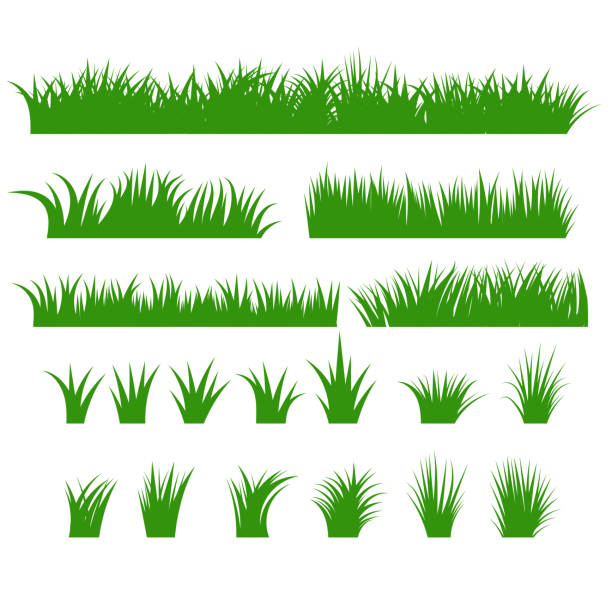 çim kenarlıkları ayarlayın, yeşil tufts vektör - grass stock illustrations
