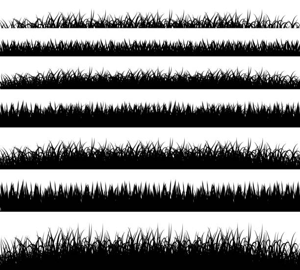 Grass borders silhouette on white background vector art illustration