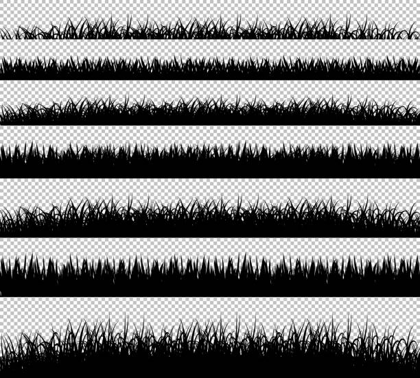 Grass borders silhouette set on transparent background vector vector art illustration