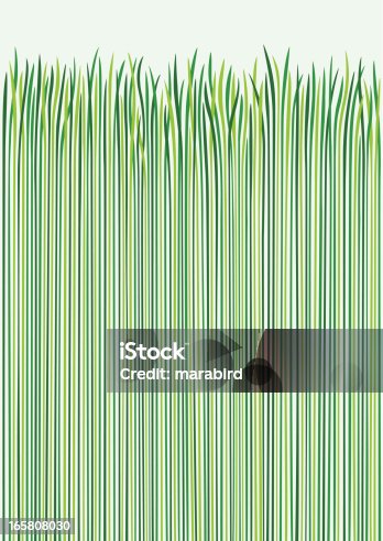 istock Grass Design 165808030