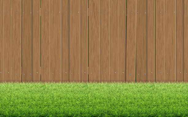 Grass lawn and brown wooden fence. Grass lawn and brown wooden fence. Back yard country house. Rural scenery. Spring background vector illustration. yard grounds stock illustrations