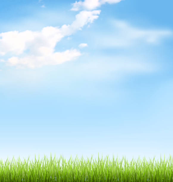 Grass lawn with clouds on blue sky Green grass lawn with clouds on blue sky grass borders stock illustrations