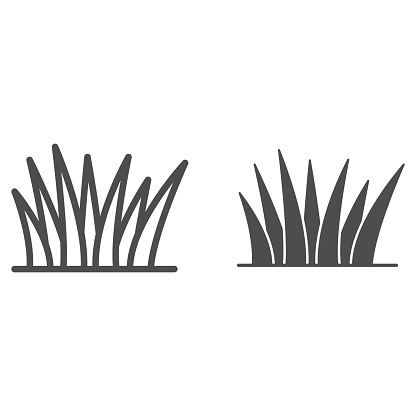 Grass line and solid icon, nature concept, lawn sign on white background, Grass leaves icon in outline style for mobile concept and web design. Vector graphics