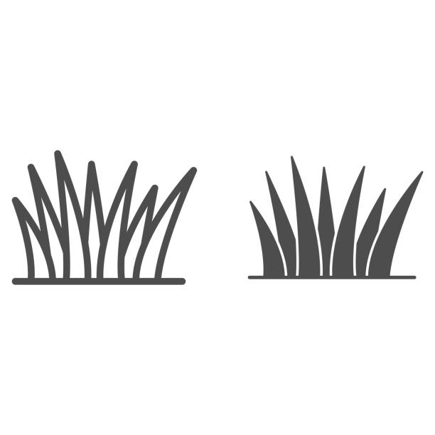 Grass line and solid icon, nature concept, lawn sign on white background, Grass leaves icon in outline style for mobile concept and web design. Vector graphics. Grass line and solid icon, nature concept, lawn sign on white background, Grass leaves icon in outline style for mobile concept and web design. Vector graphics grass symbols stock illustrations