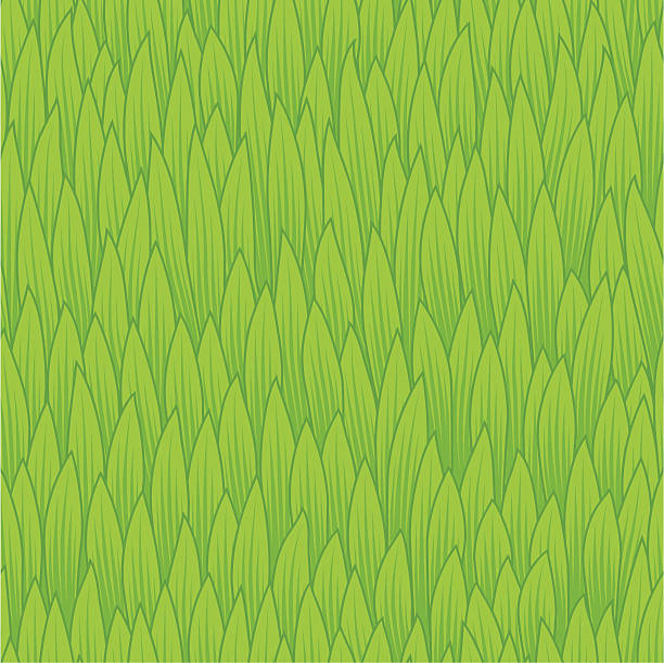 Grass - seamless texture vector art illustration