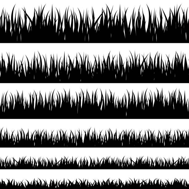 Grass silhouette. Turf coating banners for edging and overlays. Grass silhouette. Turf coating banners for edging and overlays grass clipart stock illustrations