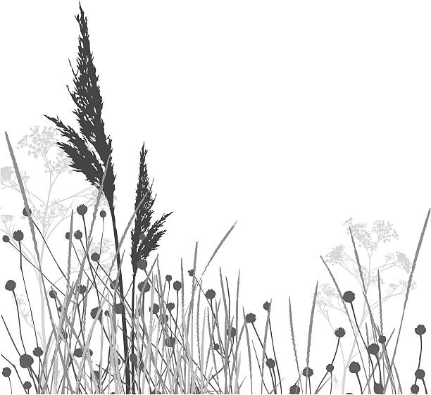 Grass silhouettes / vector  elements are separated  nature silhouettes stock illustrations