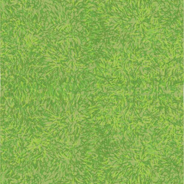 grass texture grass texture. seamless abstract green background grass designs stock illustrations