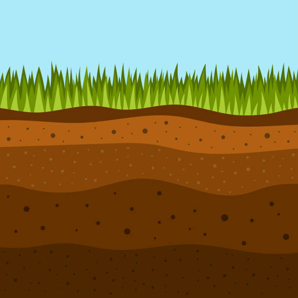 grass with underground layers of earth, vector illustration soil layers with green grass on top. The stratum of organic, minerals, sand, clay, silt, parent rock and unweathered parent material, layers of ground soil stock illustrations