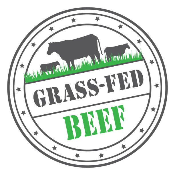 Grass-fed beef (foods to boost testosterone naturally)