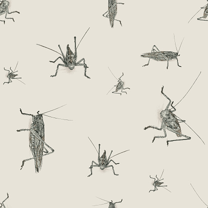 Grasshopper Seamless Repeat Pattern