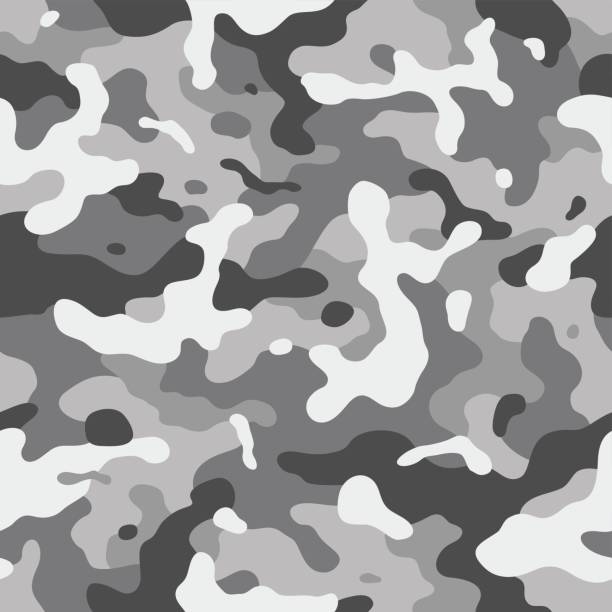 Camouflage Illustrations, Royalty-Free Vector Graphics & Clip Art - iStock