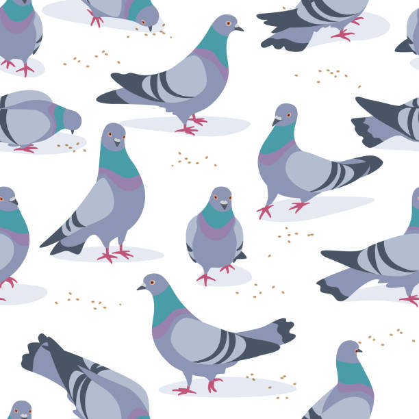 stockillustraties, clipart, cartoons en iconen met grijze duiven in motion naadloze patroon - duif