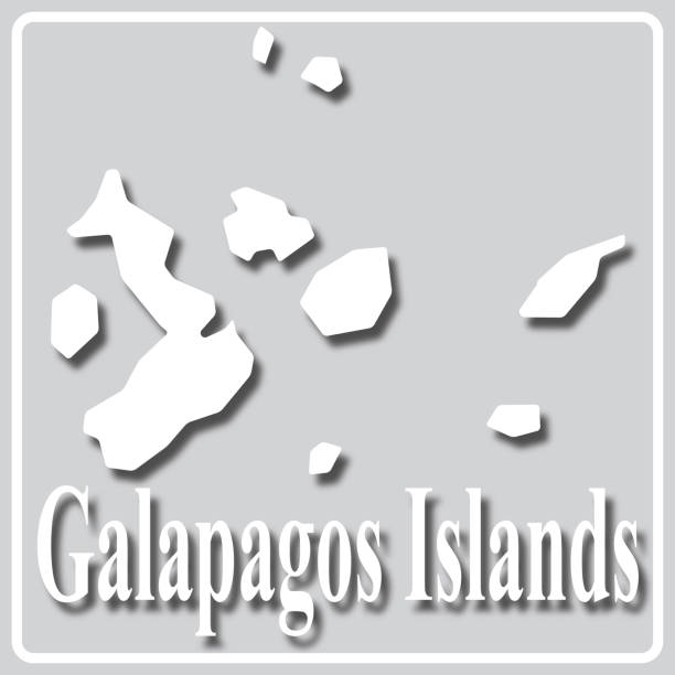 graues symbol mit weißer silhouette einer karte galapagosinseln - galápagos stock-grafiken, -clipart, -cartoons und -symbole