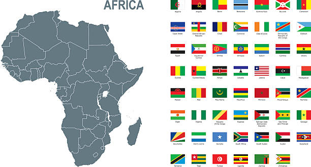 ilustrações de stock, clip art, desenhos animados e ícones de gray map of africa with flag against white background - tanzania object