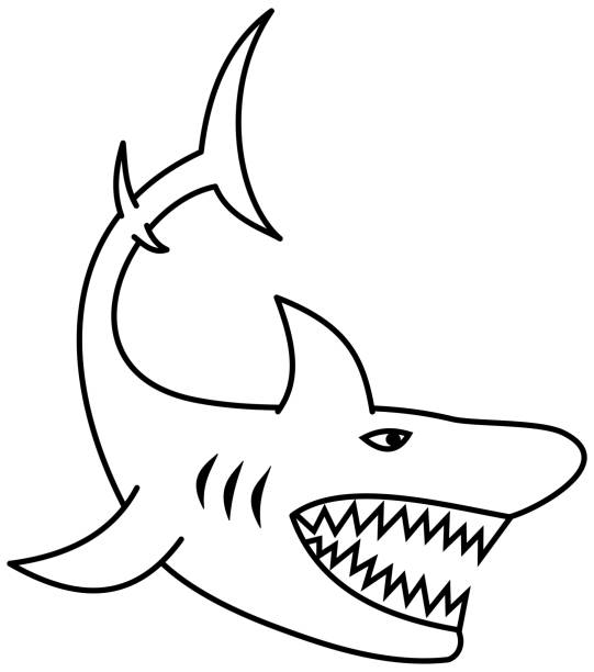 Shark Bite Outline Illustrations, Royalty-Free Vector Graphics & Clip ...