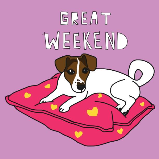 stockillustraties, clipart, cartoons en iconen met geweldig weekend en jack russell hond op kussen beeldverhaal - happy friday emoticon