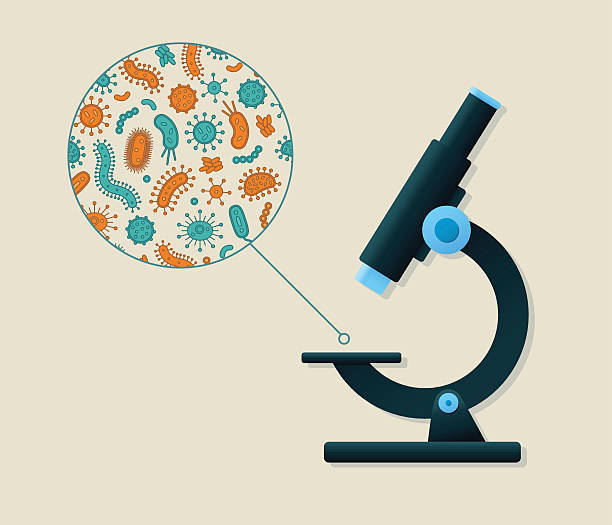 Green and orange germs being viewed by a microscope Green and orange germs being viewed by a microscope microbiology stock illustrations