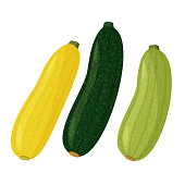 istock Green and yellow squash and zucchini on white background. Vector realistic meal collection. 1280874361