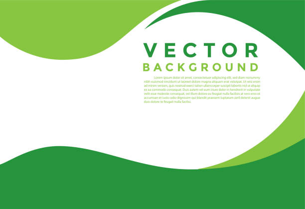 grafik efek pencahayaan vektor latar belakang hijau untuk infografis desain papan teks dan pesan. - kurva bentuk ilustrasi stok