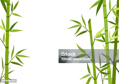 istock Green bamboo  background 899684052