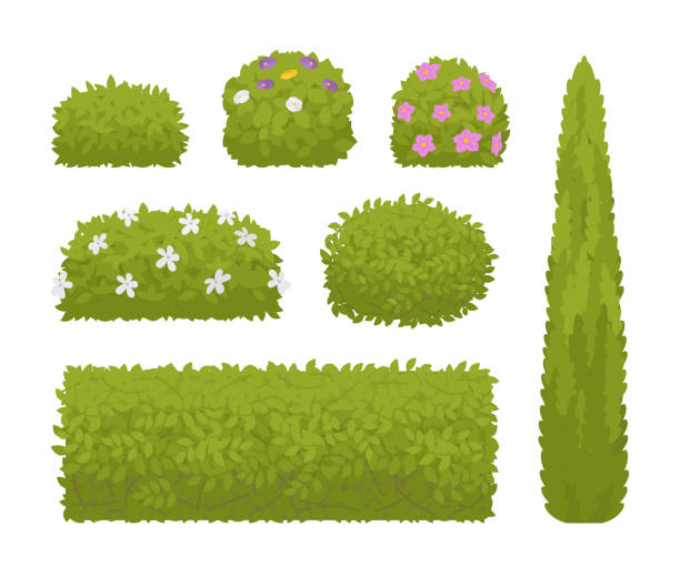Green bushes set Green bushes set. Low plant with branches and leaves, clump of shrub ornamental trimming for well designed garden. Urban landscape environment, ecology concept. Vector flat style cartoon illustration flowerbed illustrations stock illustrations