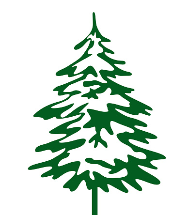 Green Christmas Tree. Vector illustration and Icon. Winter Spruce.