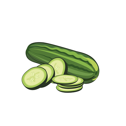 Green cucumber a host on sliced. Vegetables from the garden. Vector Illustration.