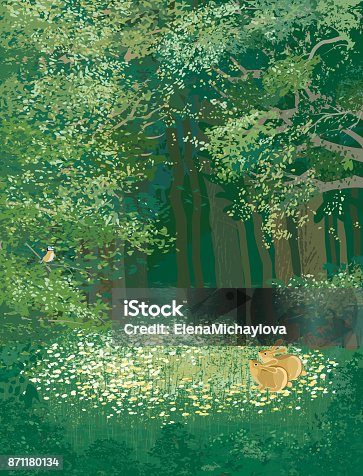 istock Green forest 871180134