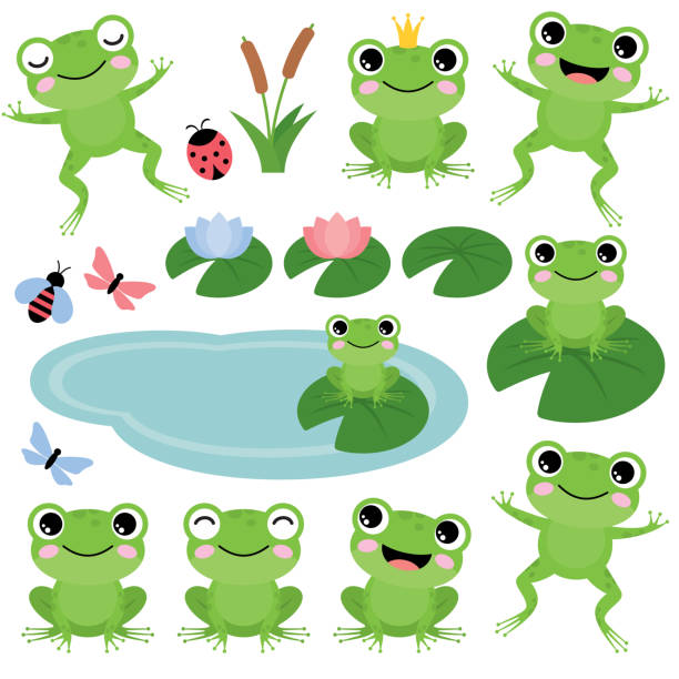 Green frogs on a white backgroun Green frogs on a white background. Vector illustration cute frog stock illustrations