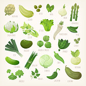 Variety of green and white common farm and exotic fruit and vegetables. List of plants from grocery store with their market names. Isolated vector icons.