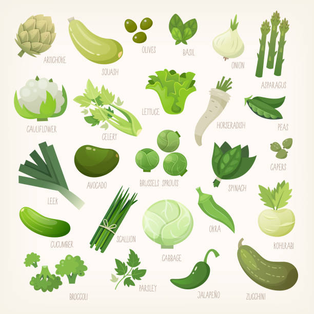 Green fruit and vegetables Variety of green and white common farm and exotic fruit and vegetables. List of plants from grocery store with their market names. Isolated vector icons. okra plants pics stock illustrations