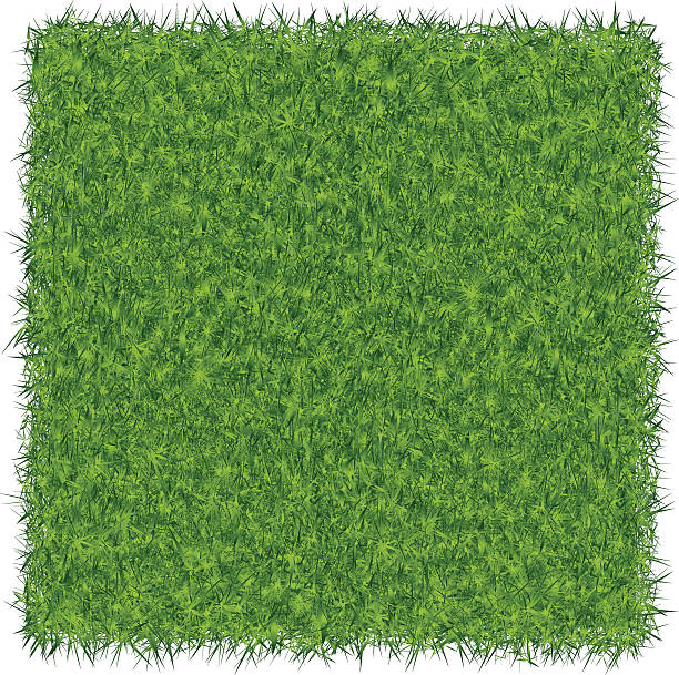 illustrations, cliparts, dessins animés et icônes de fond vert herbe - pelouse