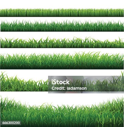 istock Green Grass Big Borders Collection 666300200